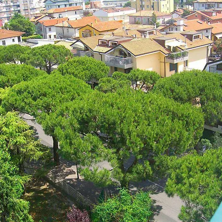 New Tiffany's Park Hotel