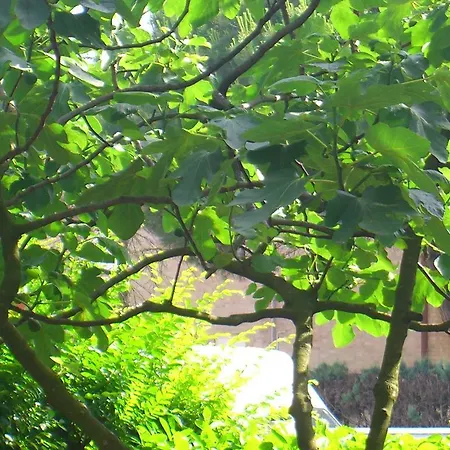 ホテル New Tiffany's Park