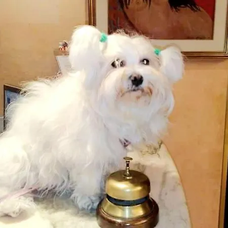 ホテル New Tiffany's Park