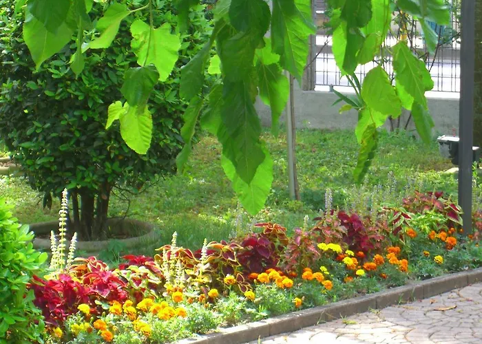 Hotel New Tiffany's Park Lido di Jesolo